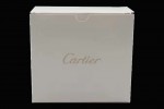 Cartier - High Quality Red Watch Box Set With Full Set of Pamphlet, Card, CD and Tag