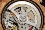 Rolex - Daytona 126505 40mm Gain Weight RG/RG Choco/Blk/Stk QF V6 SH4131