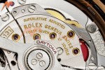 Rolex - Daytona 126515LN 40mm Gain Weight CER/RG/RU CHOCO/BLK/STK UFO UF4131 Free Sprung