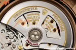 Rolex - Daytona 126515LN 40mm Gain Weight CER/RG/RU CHAMP/BLK/STK Clean Plus DD4131