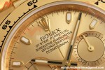 Rolex - Daytona 116508 40mm 904L YG/YG Champ/Stk VF DD4130