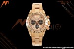 Rolex - Daytona 116505 40mm RG/RG Champ/Blk/Stk VF DD4130