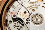 Rolex - Daytona 116505 40mm RG/RG Champ/Blk/Stk VF DD4130
