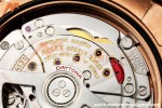 Rolex - Daytona 126505 40mm RG/RG Brn/Blk/Stk Dial UFO UF4131 Free Sprung 