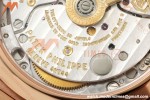 Patek Philippe - Nautilus Ladies 7118 35mm RG/DIA Wht/Stk DDF DD324