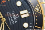 Omega - Seamaster Diver 300m 42mm YG/SS Black VSF A8800