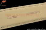 Cartier - Tank Solo Large Size 27mm YG/LE White AF Swiss Qtz