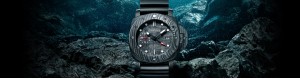 SUBMERSIBLE