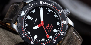 SINN
