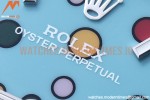 Rolex - Oyster Pert 36mm 904 126000 SS/SS Bubble KRF A2824